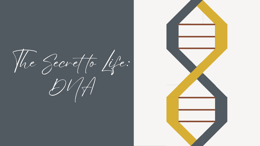 The Secret to Life: DNA Quilt Block