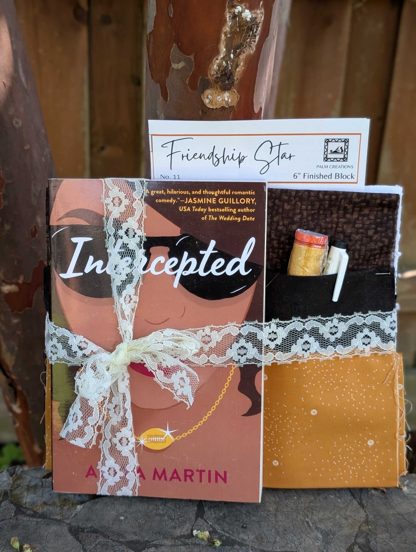Book and Quilt Block Kit- Intercepted by Alexa Martin