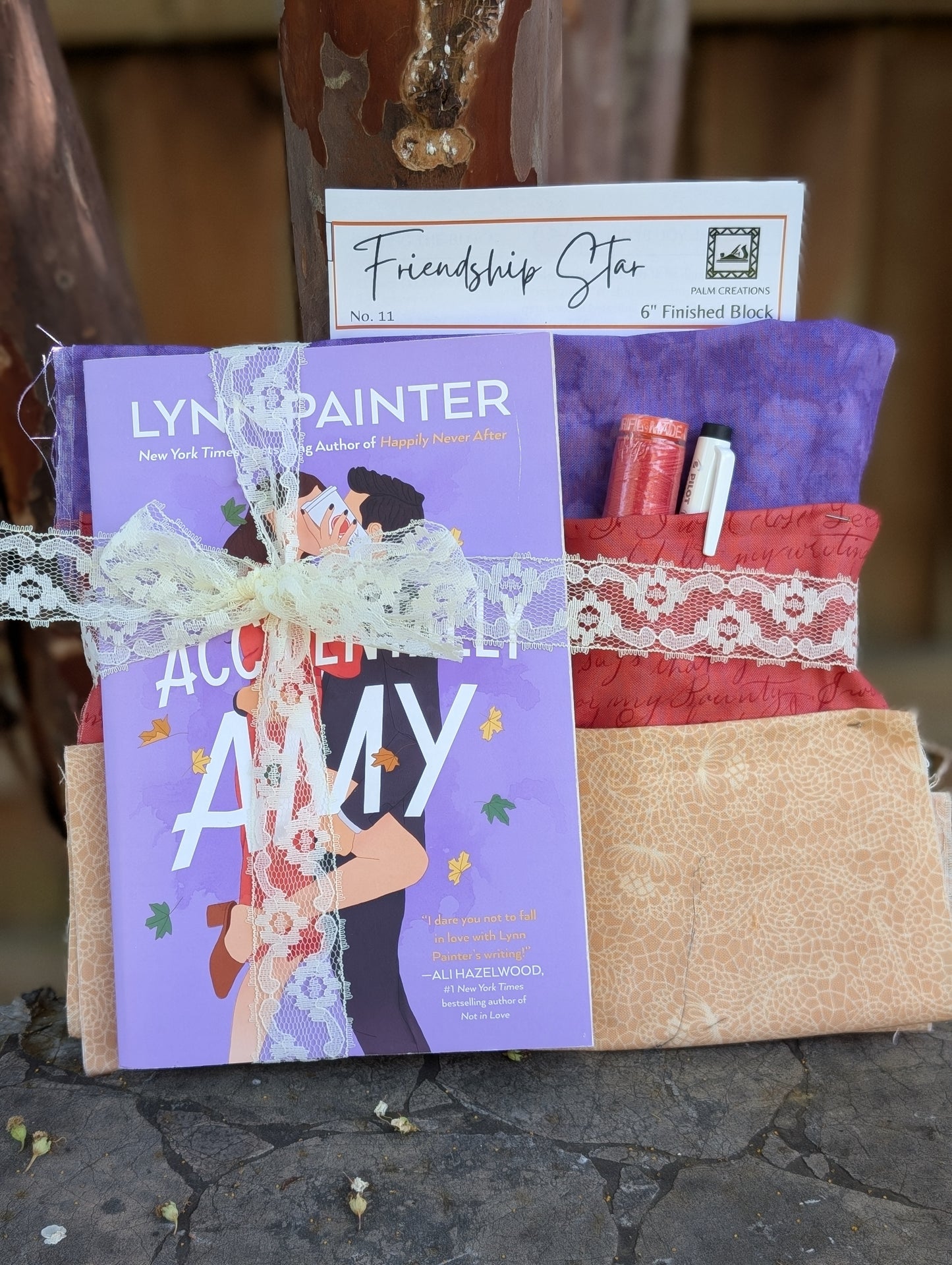 Book and Quilt Block Kit- Accidentally Amy by Lynn Painter